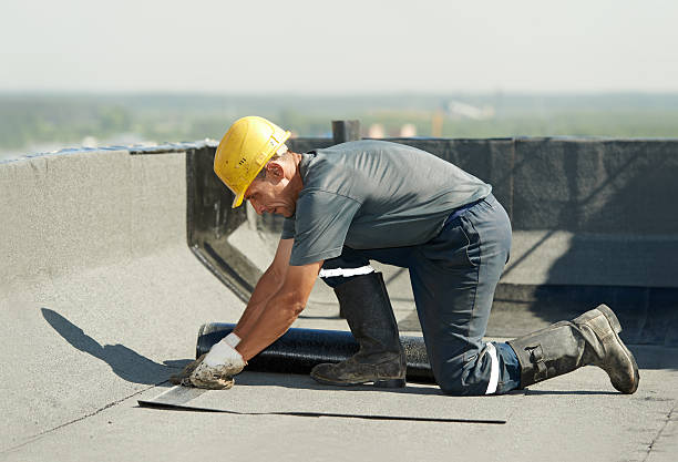 Best Eco-Friendly Insulation in North Ridgeville, OH